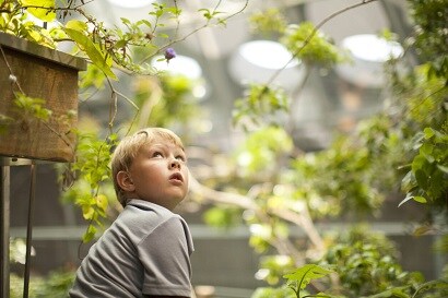 3m Science Applied To Life 3m österreich