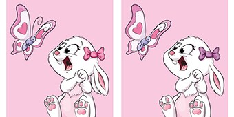Hase - wie viele Fehler kannst du entdecken?
